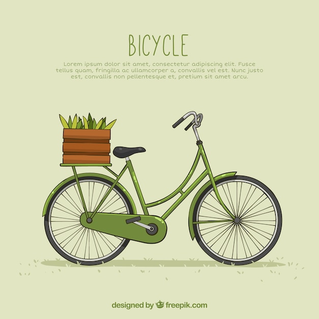 Free Vector vintage bike with basket and vegetables