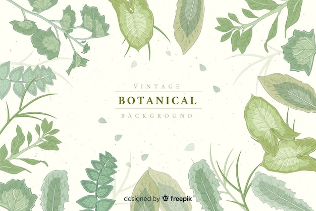 Free vector vintage botanical background