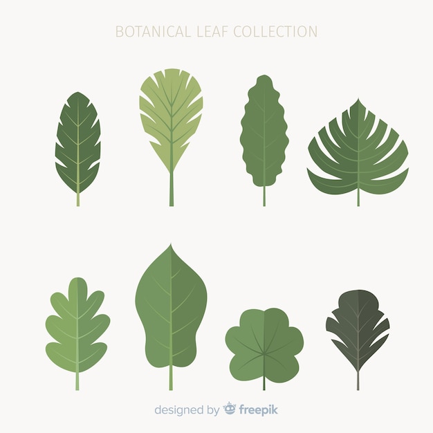 Free Vector vintage botanical leaf collection