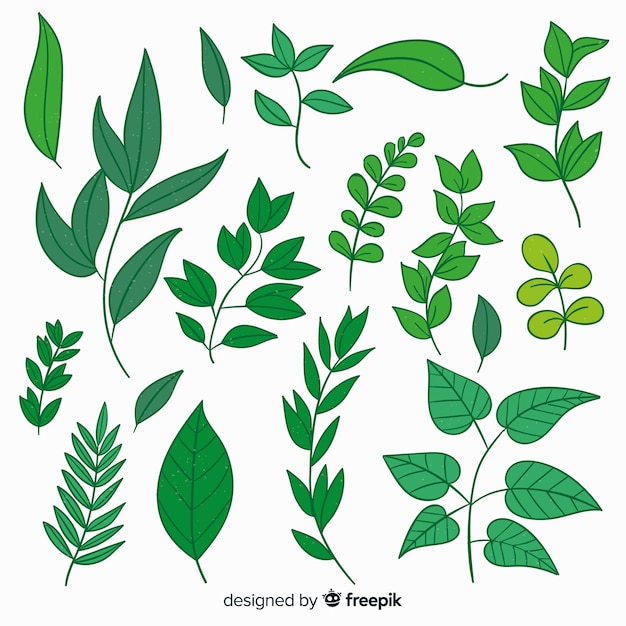 Free Vector vintage botanical leaf collection