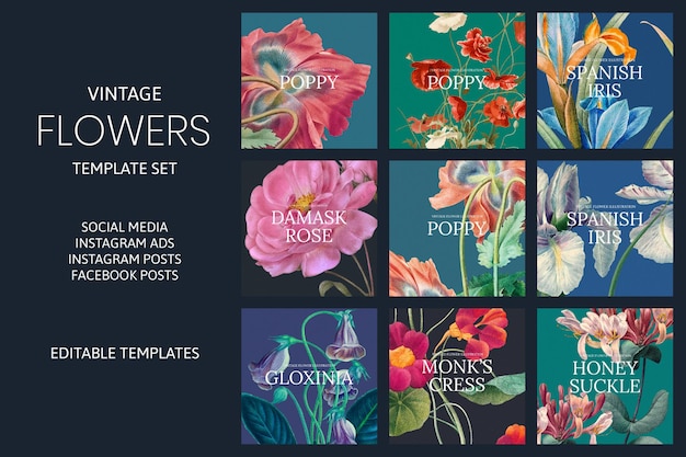 Free Vector vintage flower vector template set, remixed from public domain artworks