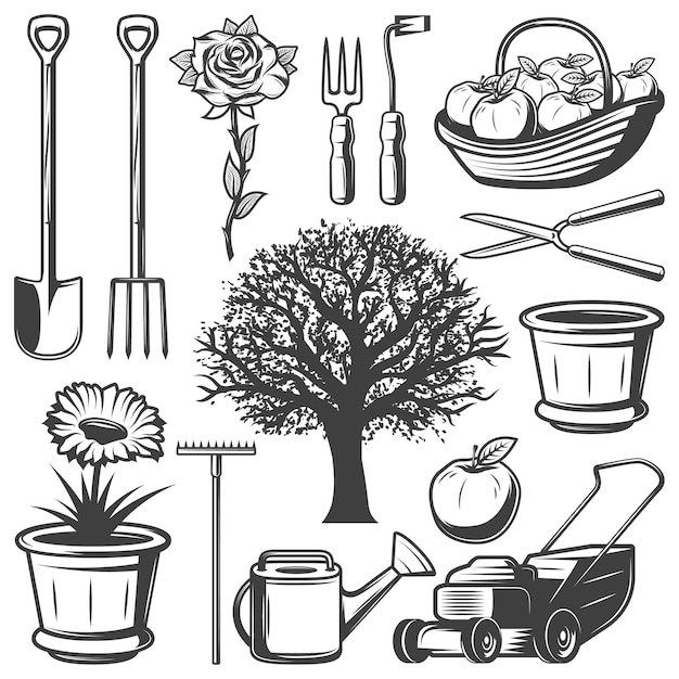 Free Vector vintage garden elements collection