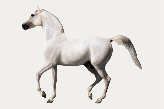 Vintage horse illustration, remixed from artworks by Jacques-Laurent Agasse