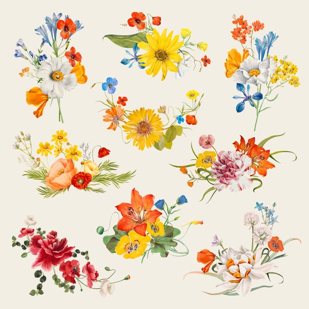 Vettore gratuito set di illustrazioni vettoriali per il nome del fiore di primavera vintage, remixato da opere d'arte di pubblico dominio