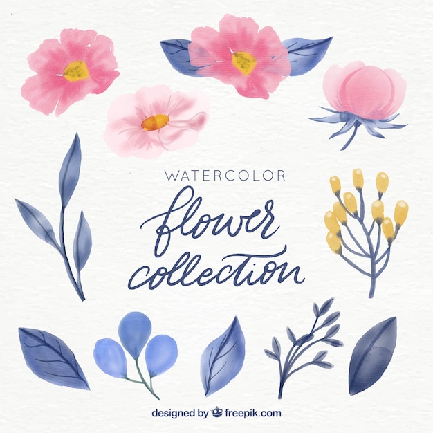 Watercolor floral element collection