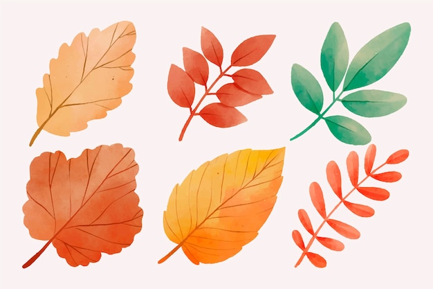 Watercolor leaves collection