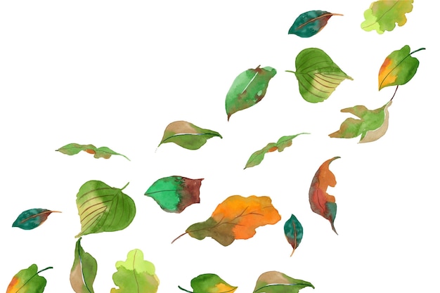 Free Vector watercolor leaves falling