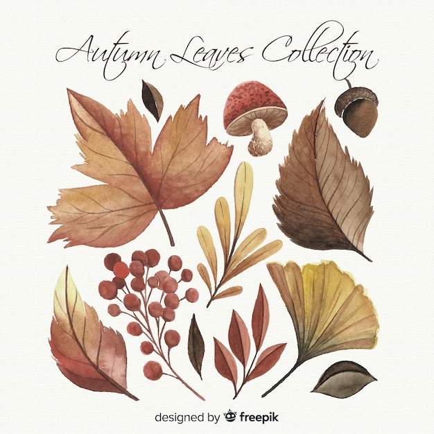 Free vector watercolor style autumn leaves collection