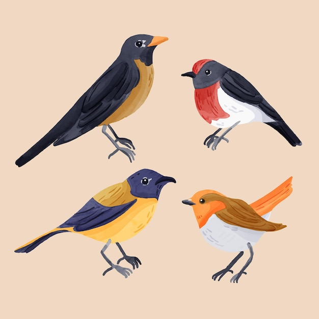 Free Vector watercolor style robin pack