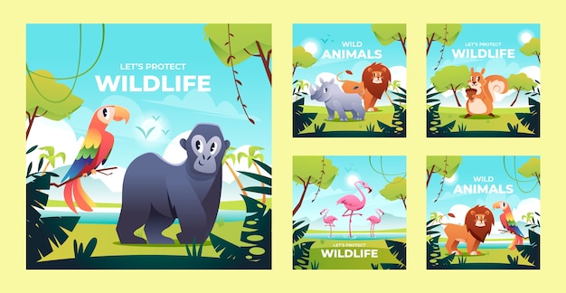 Free Vector wildlife instagram post collection