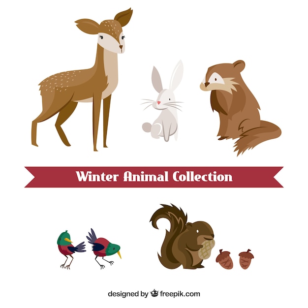 Free Vector winter animal set in flat design