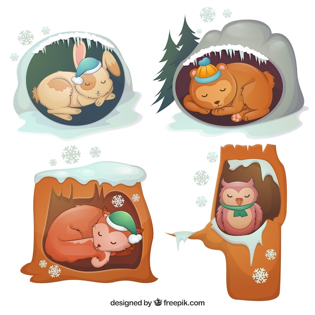 Winter animals hibernating