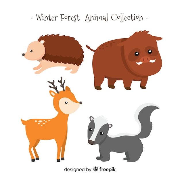 Winter forest animal collection