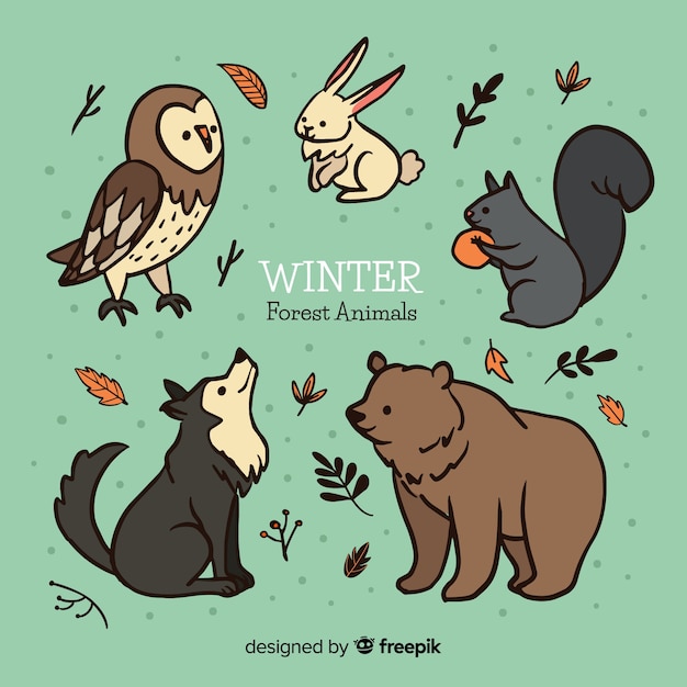 Free vector winter forest animals collection