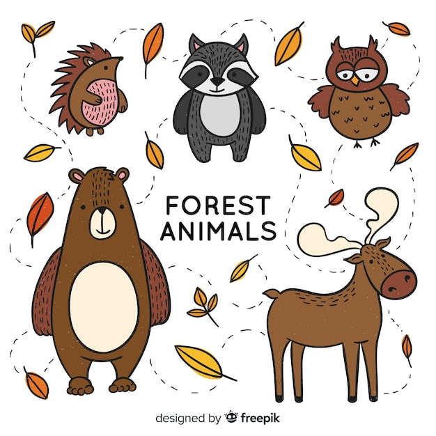 Free Vector winter forest animals collection