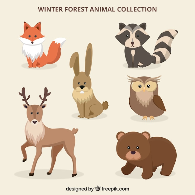 Free Vector winter forest animals set in flat style