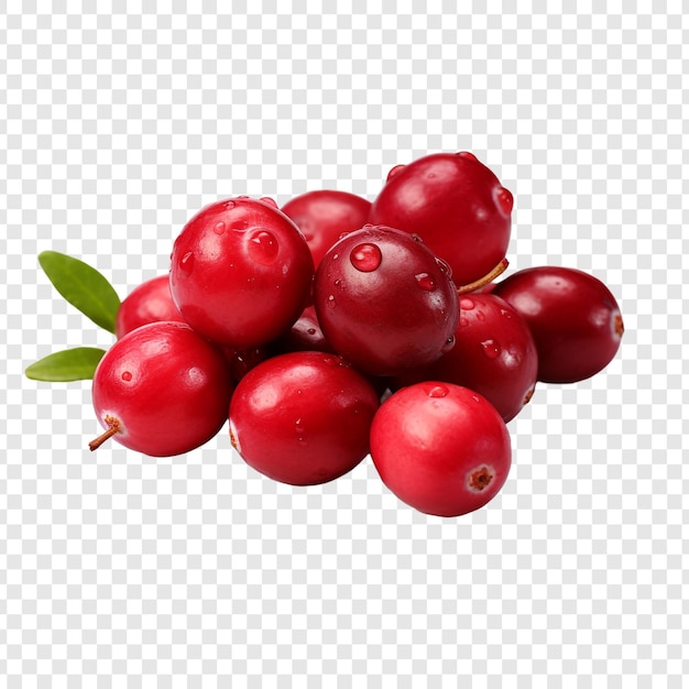 Kostenlose PSD cranberry isoliert auf durchsichtigem hintergrund