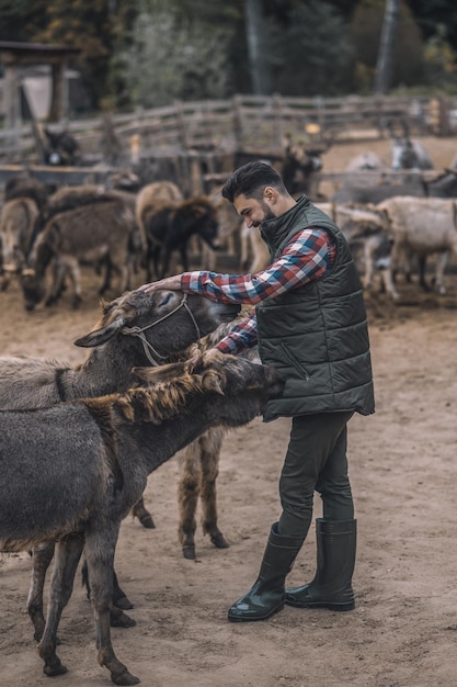 Photo gratuite un agriculteur avec ses animaux au fram