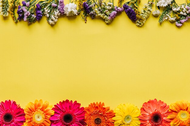 Assortiment de fleurs sur fond jaune