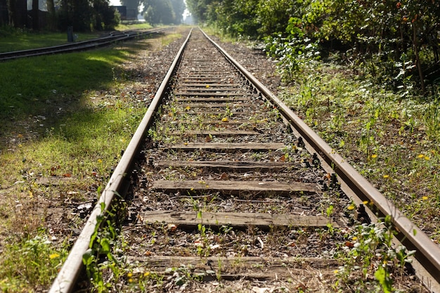 Photo gratuite beau coup de voie ferrée recouverte d'herbe pendant la journée