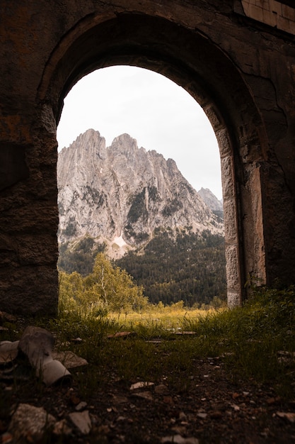 Photo gratuite beau paysage de forêt de montagne