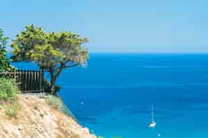 Photo gratuite bel olivier sur la falaise au-dessus d'une mer bleu vif avec un bateau. près du cap greco sur l'île de chypre, mer méditerranée.