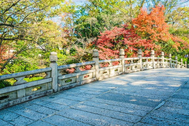 Photo gratuit belle architecture de temple kiyomizu-dera kyoto, japon