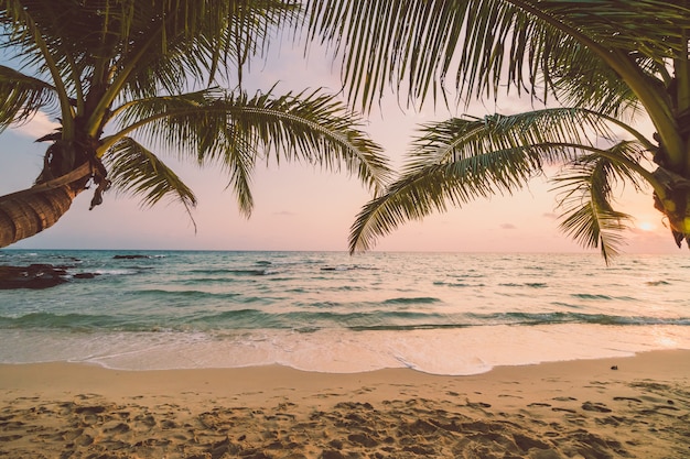 Belle île paradisiaque avec plage et mer