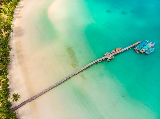 Photo gratuit belle vue aérienne de la plage et de la mer avec un cocotier