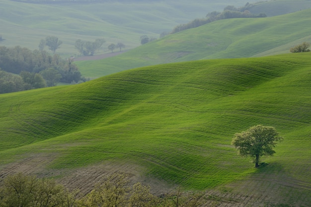 Photo gratuite campagne des collines