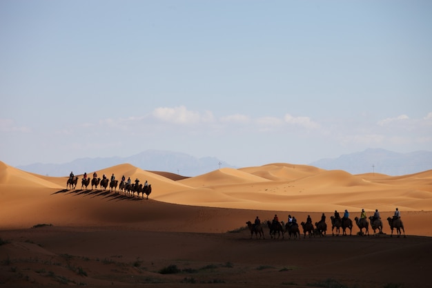 Photo gratuit caravane de chameaux dans un désert au xinjiang, chine