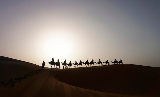 Photo gratuit caravane de chameaux sur la dune de l'erg chebbi au maroc