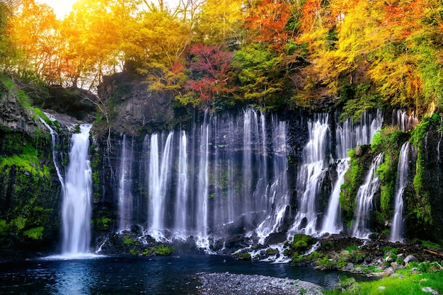 Cascade de Shiraito au Japon.