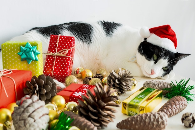 Photo gratuit chat blanc et noir avec chapeau de père noël de noël avec des ornements sur une table