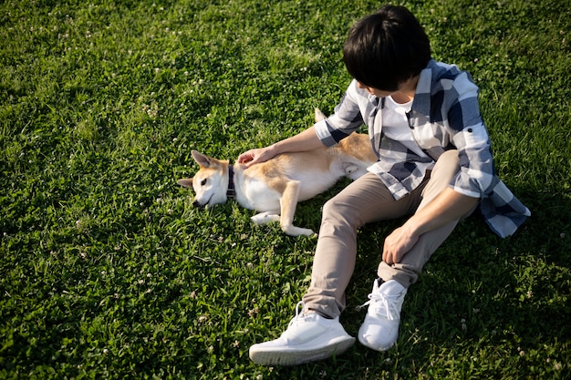 Photo gratuit chien shiba inu se promenant