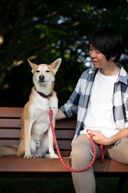 Photo gratuit chien shiba inu se promenant