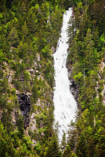 Photo gratuit chute d&#39;eau dans les forêts de montagne