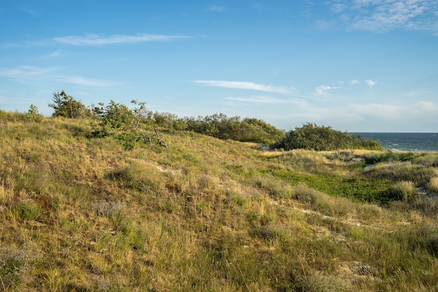 Photo gratuite colline couverte de verdure avec la mer sous la lumière du soleil et un ciel bleu