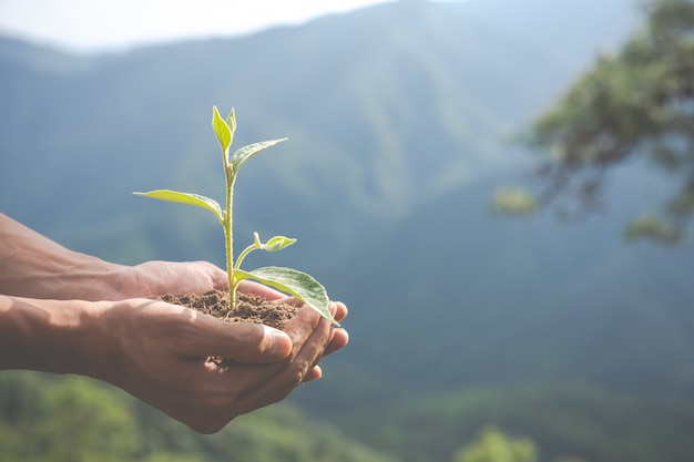 Photo gratuite conservation de l'environnement dans le jardin pour les enfants.