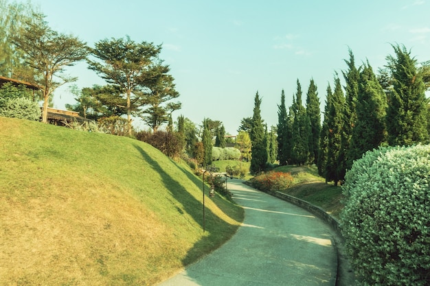 Photo gratuite cru nature jardin lumière pâques