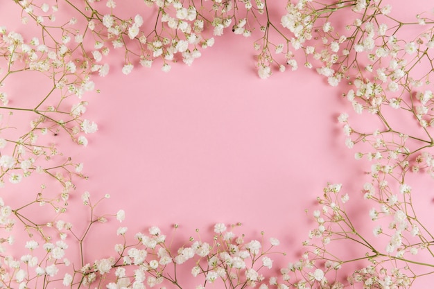 Photo gratuite espace vide pour l'écriture de texte avec une fleur de gypsophile blanche fraîche sur fond rose