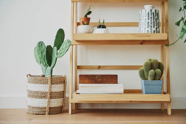 Photo gratuite Étagère à plantes en bois avec plantes mélangées