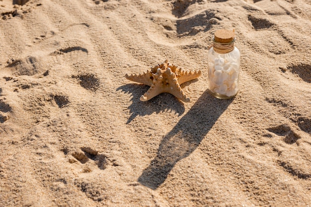 Photo gratuite Étoile de mer et pot de coquillages sur la plage de sable fin