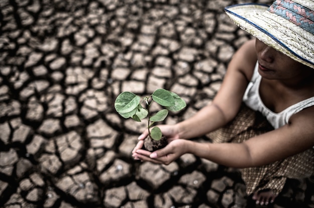 Photo gratuite les femmes sont assises en tenant les semis sur la terre ferme dans un monde en réchauffement.