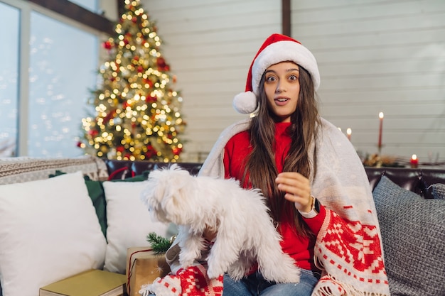 Photo gratuit une fille avec un petit chien dans les bras est assise sur le canapé le soir du nouvel an. amis ensemble.