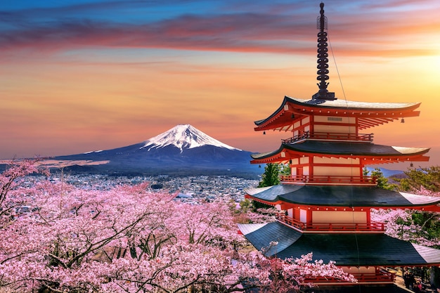 Photo gratuit fleurs de cerisier au printemps, pagode chureito et montagne fuji au coucher du soleil au japon.