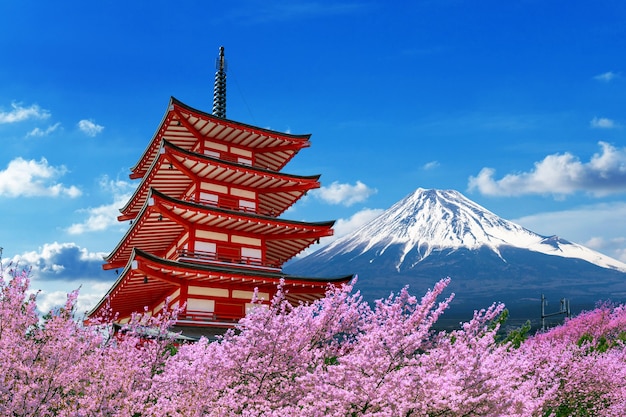 Photo gratuite fleurs de cerisier au printemps, pagode chureito et montagne fuji au japon.