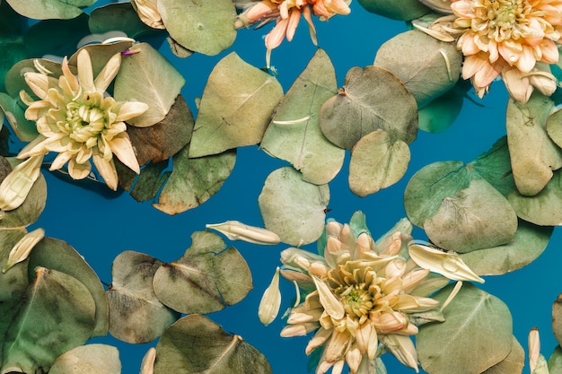 Photo gratuite fleurs avec des feuilles dans l'eau bleue