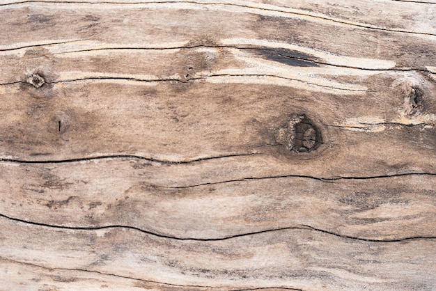 Photo gratuite fond de texture en bois avec espace de copie