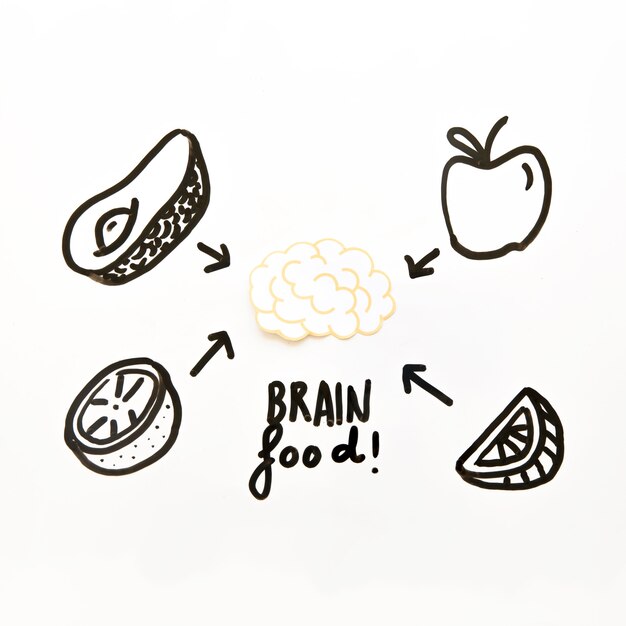 Photo gratuite fruit dessiné bon du cerveau sur fond blanc